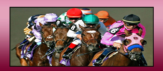 Charity Horse Racing Event
