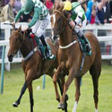 The Eastern festival Horse Race