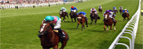 Flat Racing