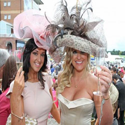 Newcastle Park Racecourse