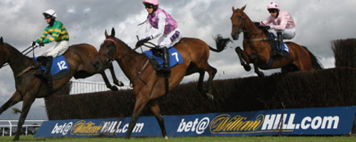 Ladies Day, Newcastle Racecourse