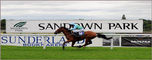 Celebration Chase, Kempton ParkRacecourse
