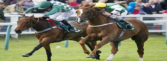  Great Yarmouth Horse Racing Event